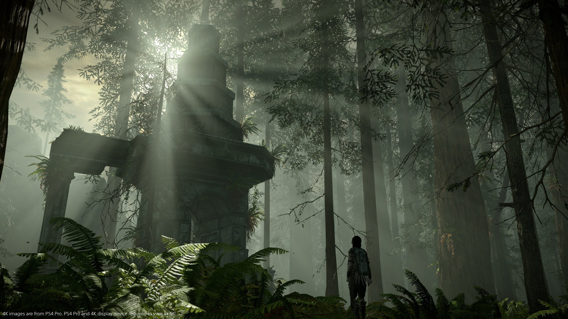 Shadow of the Colossus Remaster - Imagen 22